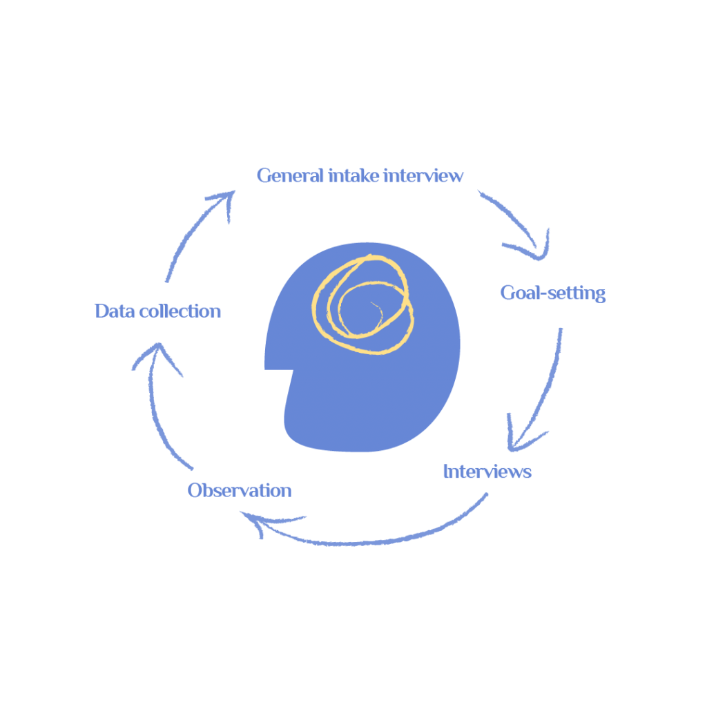 Assessment And Data Collection Process Infographic