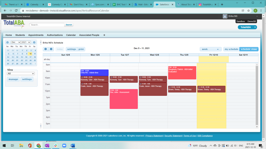 Total Therapy ABA Practice Management Software Screenshot